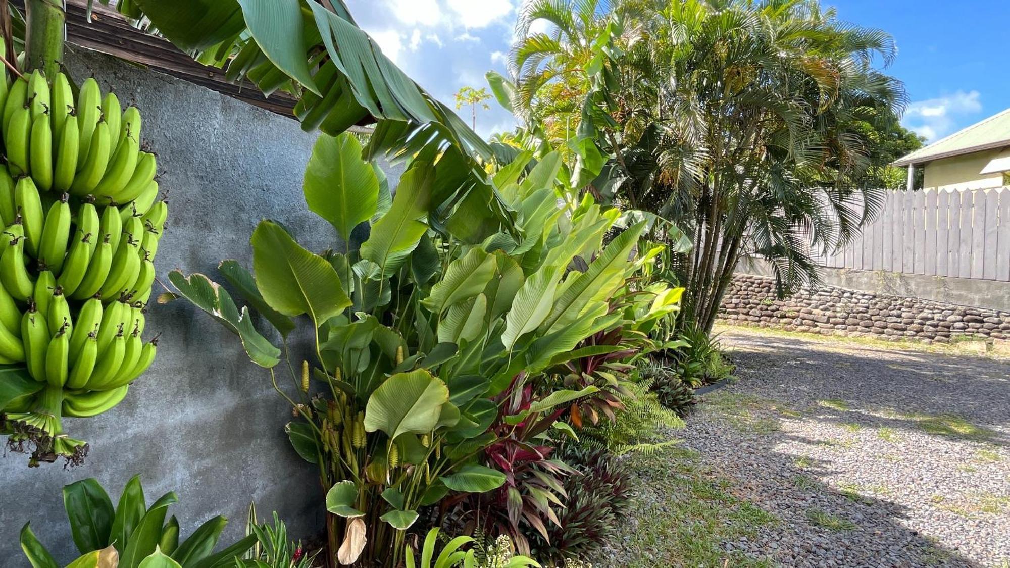 Ononui Lodge Airport, Ocean-View, Private Bathroom And Balcony, Free Wifi And Parking, On-Site Car Rental Faaa Eksteriør bilde