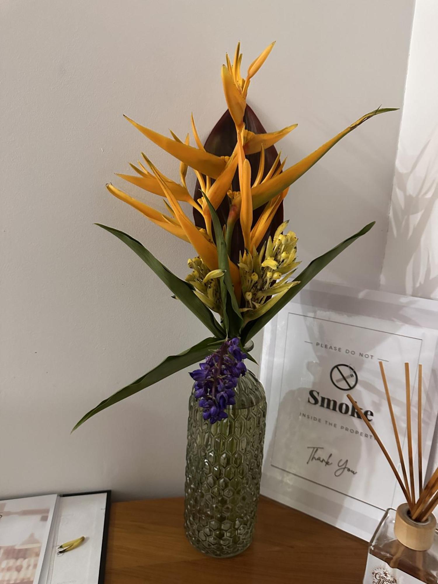 Ononui Lodge Airport, Ocean-View, Private Bathroom And Balcony, Free Wifi And Parking, On-Site Car Rental Faaa Eksteriør bilde
